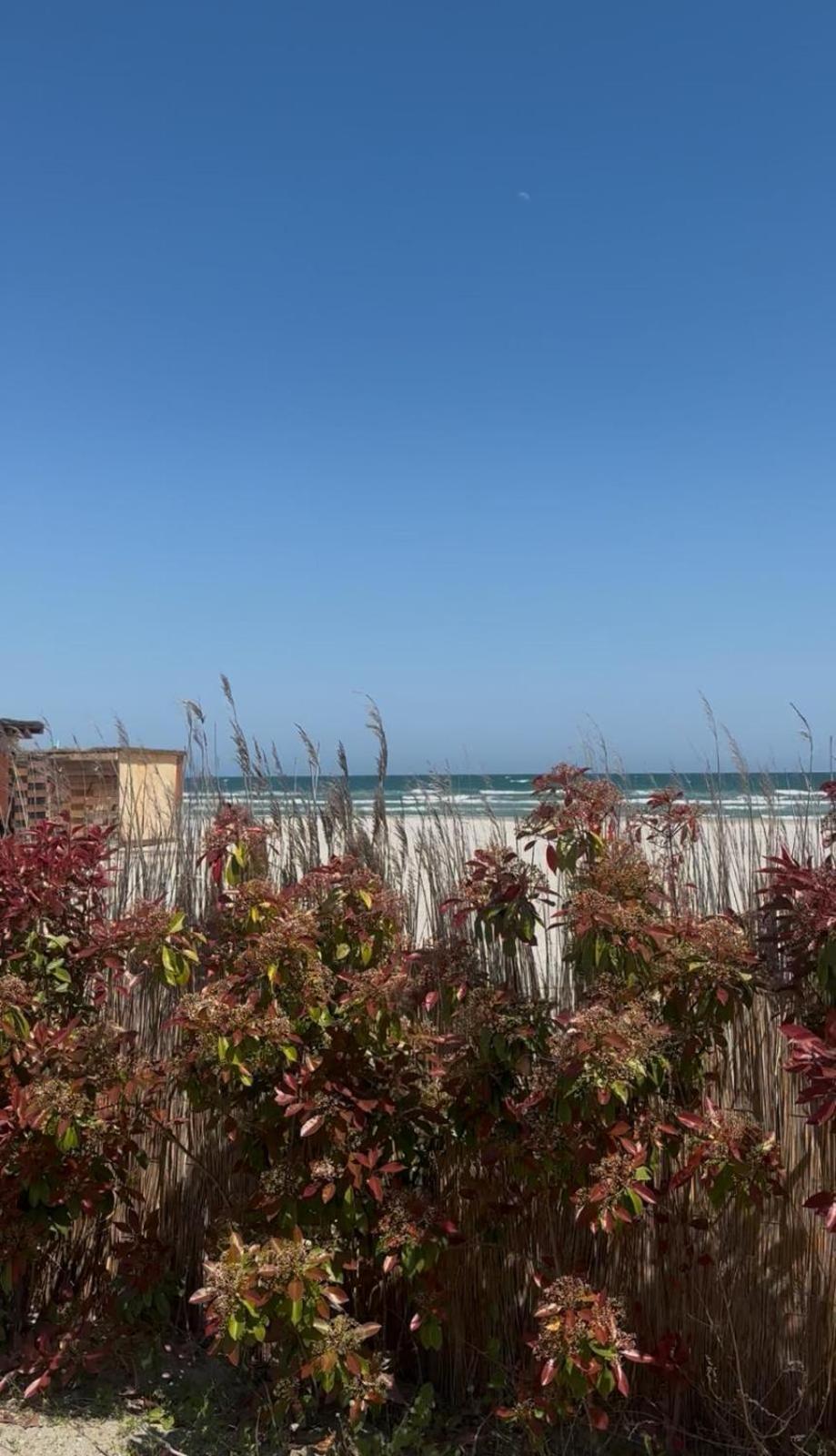 Sea View Luxury Apartament นาโวดาริ ภายนอก รูปภาพ